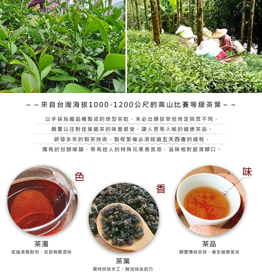 佳葉龍茶的成分圖示