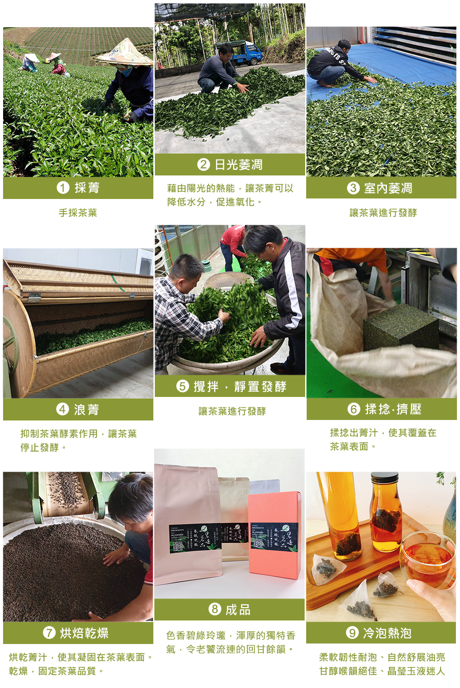 製作茶葉過程圖